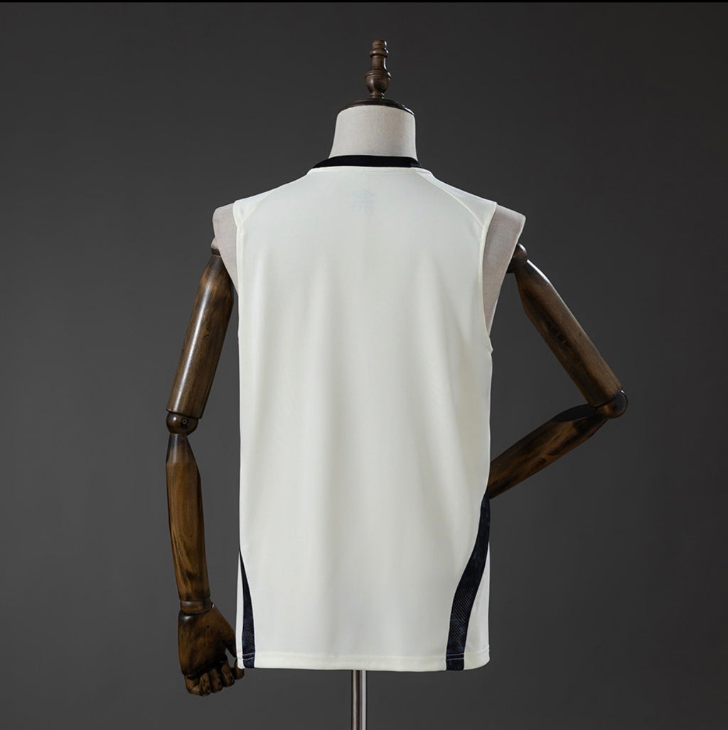 Santos 26/27 Training Vest Beige