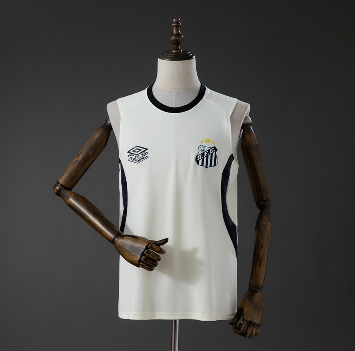 Santos 26/27 Training Vest Beige