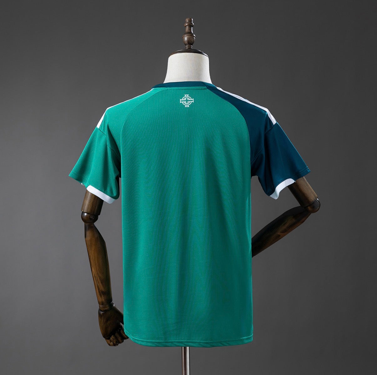 IRLANDE DU NORD DOMICILE 2026