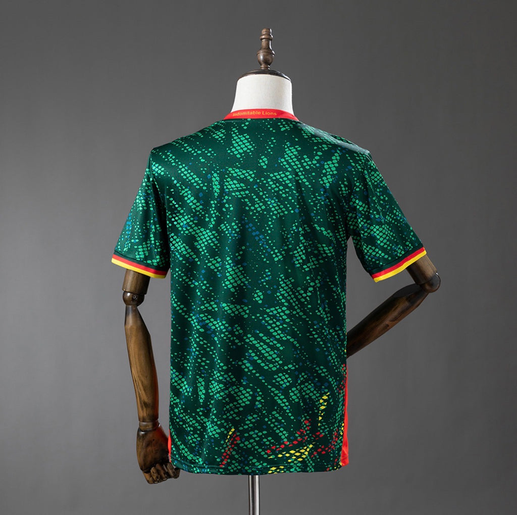 CAMEROUN DOMICILE 2026